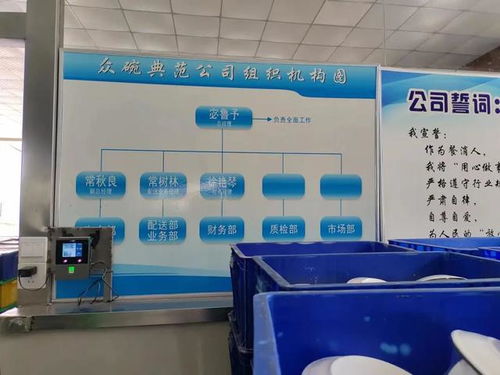 水上樂園的暗面與洗碗女工的悲歌 消費(fèi)光鮮背后的社會(huì)代價(jià)